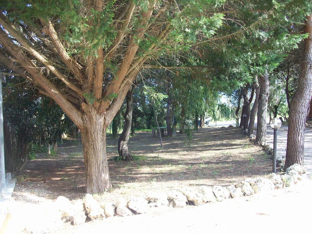 Appartamenti Turistici Aprile Antonio Luigi بورغوني المظهر الخارجي الصورة